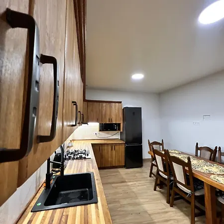 Carpatian Apartamento